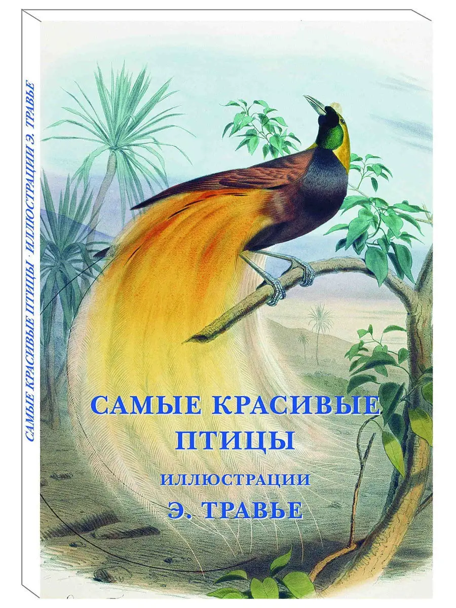 Самые красивые птицы. Э.Травье (Набор открыток) Белый Город / Воскресный  день 10849201 купить за 346 ₽ в интернет-магазине Wildberries