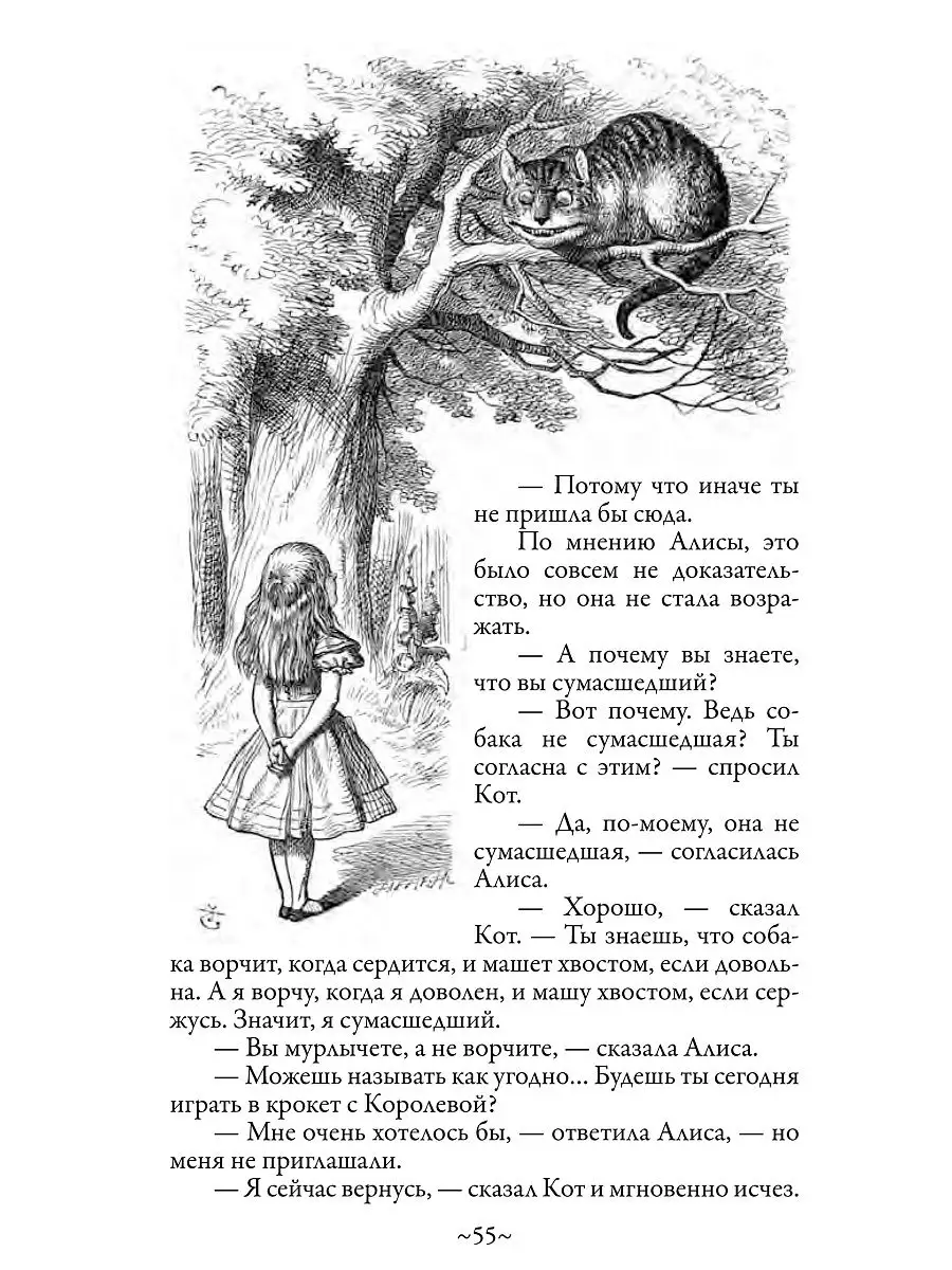 Льюис Кэрролл. Алиса в Стране чудес. Алиса в Зазеркалье.Иллюстрированное  издание. Издательство СЗКЭО 10875548 купить в интернет-магазине Wildberries