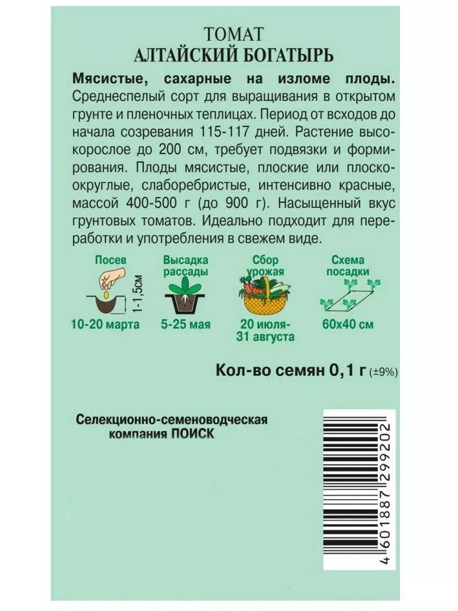 Семена Томат Алтайский богатырь 0,1 гр среднеспелый ПОИСК 10891345 купить  за 71 ₽ в интернет-магазине Wildberries