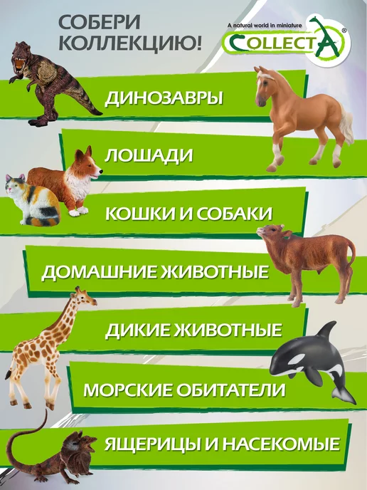 Collecta Фигурка птичка для декора Сова амбарная, оранжевый, фото 6