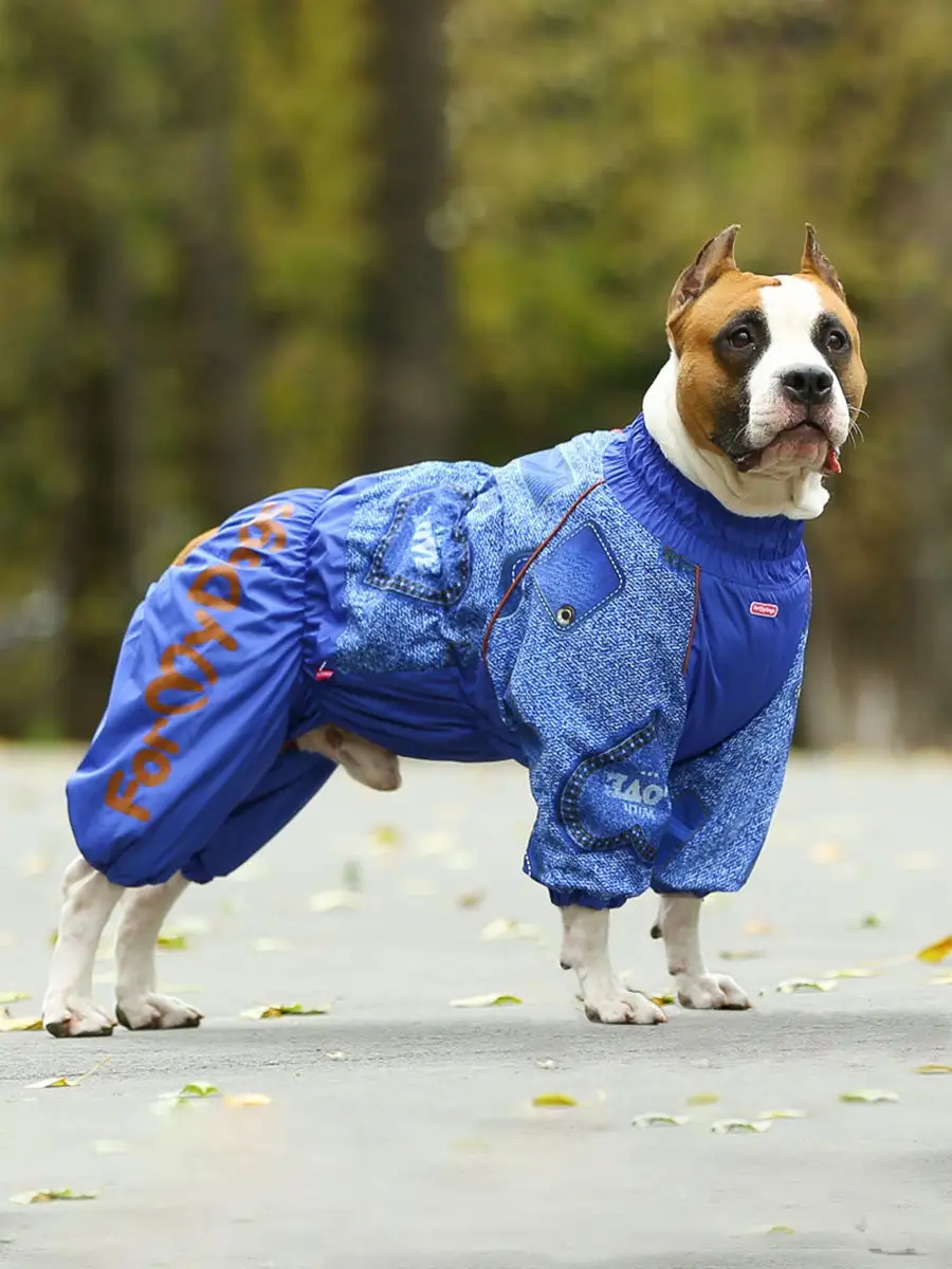 Одежда для собак, комбинезоны для собак купить в Москве.