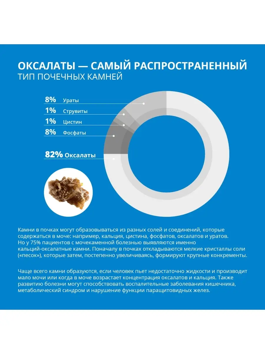 Оксалит, капсулы 406 мг, 60 шт. SH PHARMA 10904449 купить за 1 075 ₽ в  интернет-магазине Wildberries