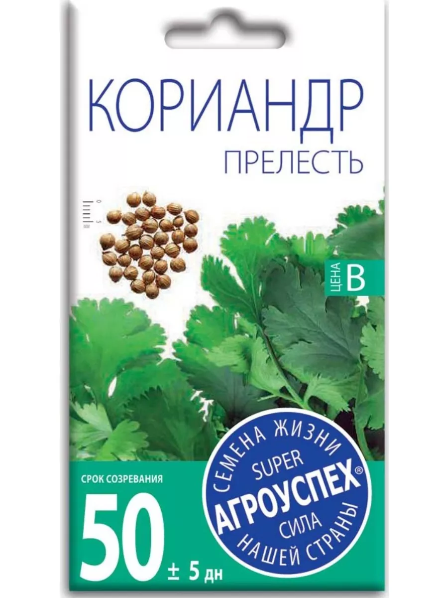 Семена Кориандр (кинза) Прелесть, 5 г в пакете позднеспелый АГРОУСПЕХ  10916245 купить в интернет-магазине Wildberries