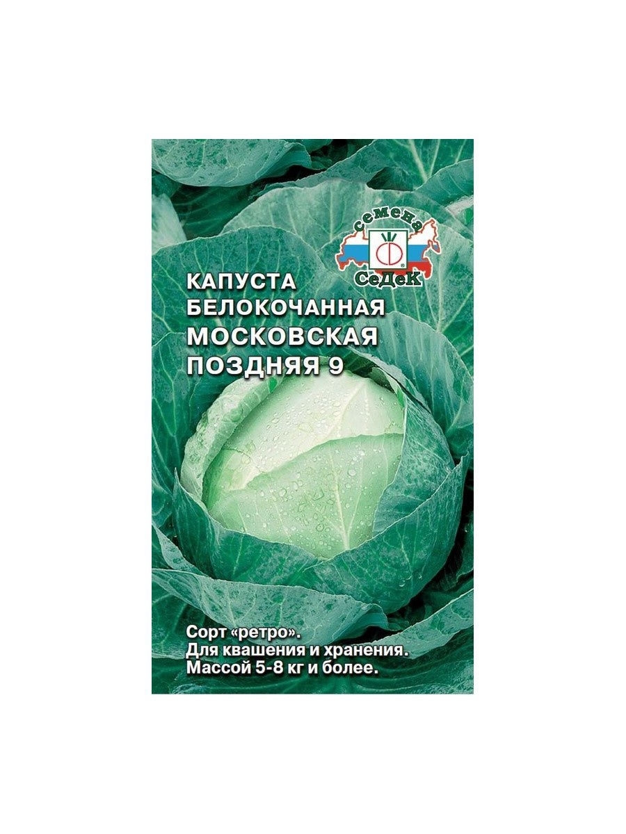 Капуста московская описание сорта фото отзывы. Капуста белокочанная Московская поздняя 9 (а) 0,5 гр. Капуста белокочанная Московская поздняя 9. Капуста Московская поздняя. Капуста Московская семена.