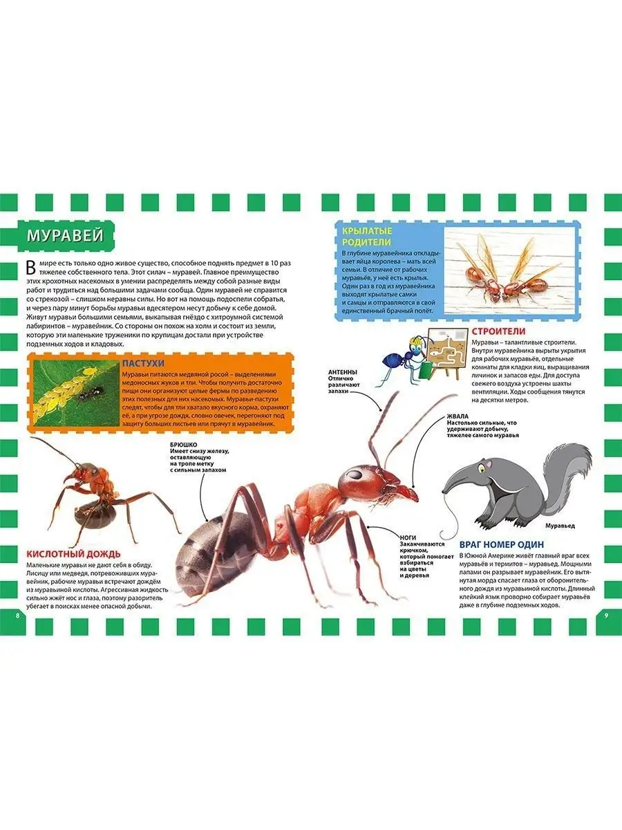 Насекомые. Популярная детская энциклопедия. Книги для детей Владис 10924069  купить в интернет-магазине Wildberries