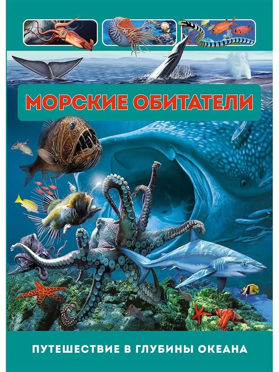 Морские обитатели. Развивающая книга Владис 10924128 купить в  интернет-магазине Wildberries