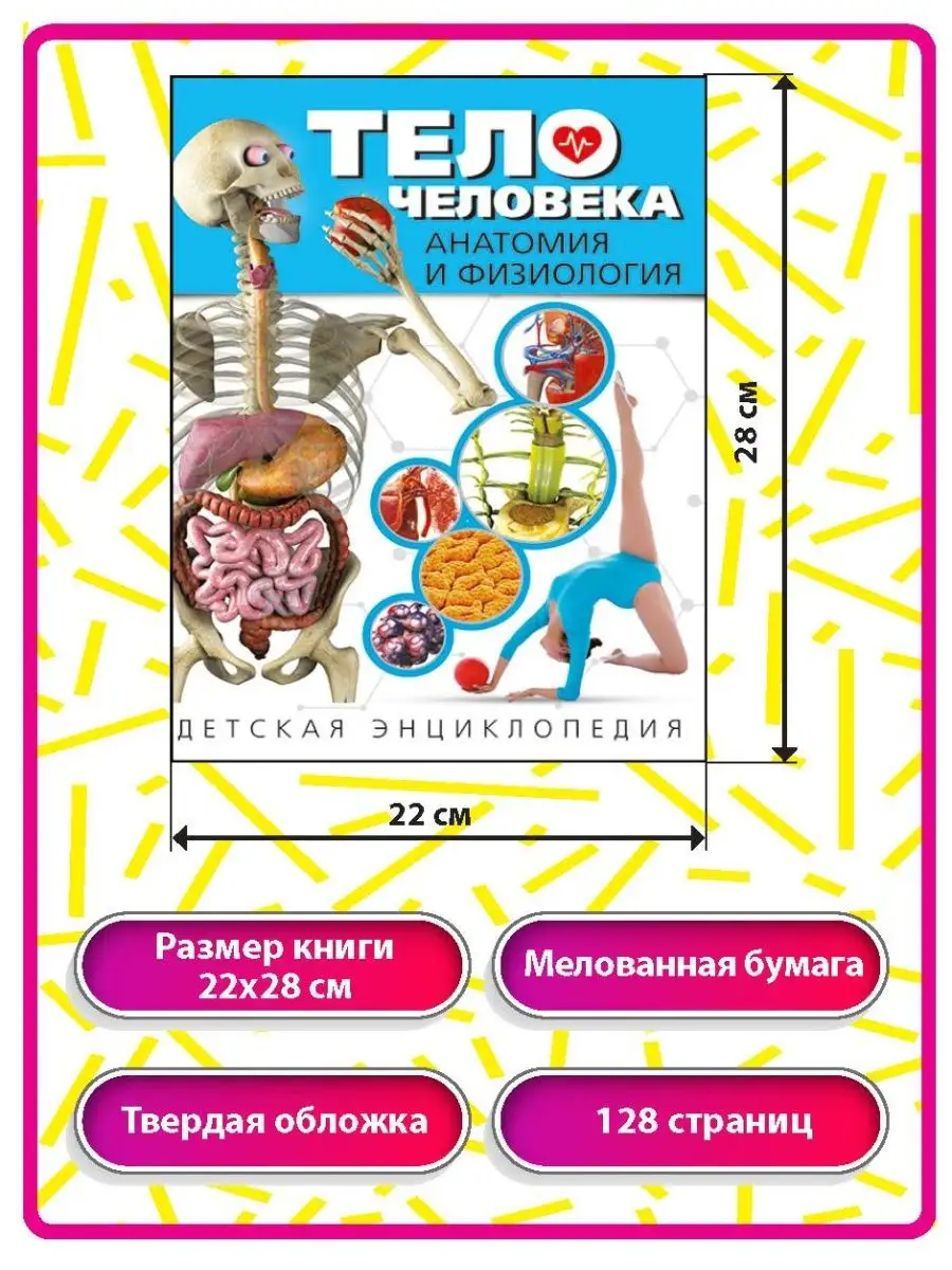 Тело человека. Анатомия и физиология. Детская энциклопедия Владис 10924170  купить в интернет-магазине Wildberries