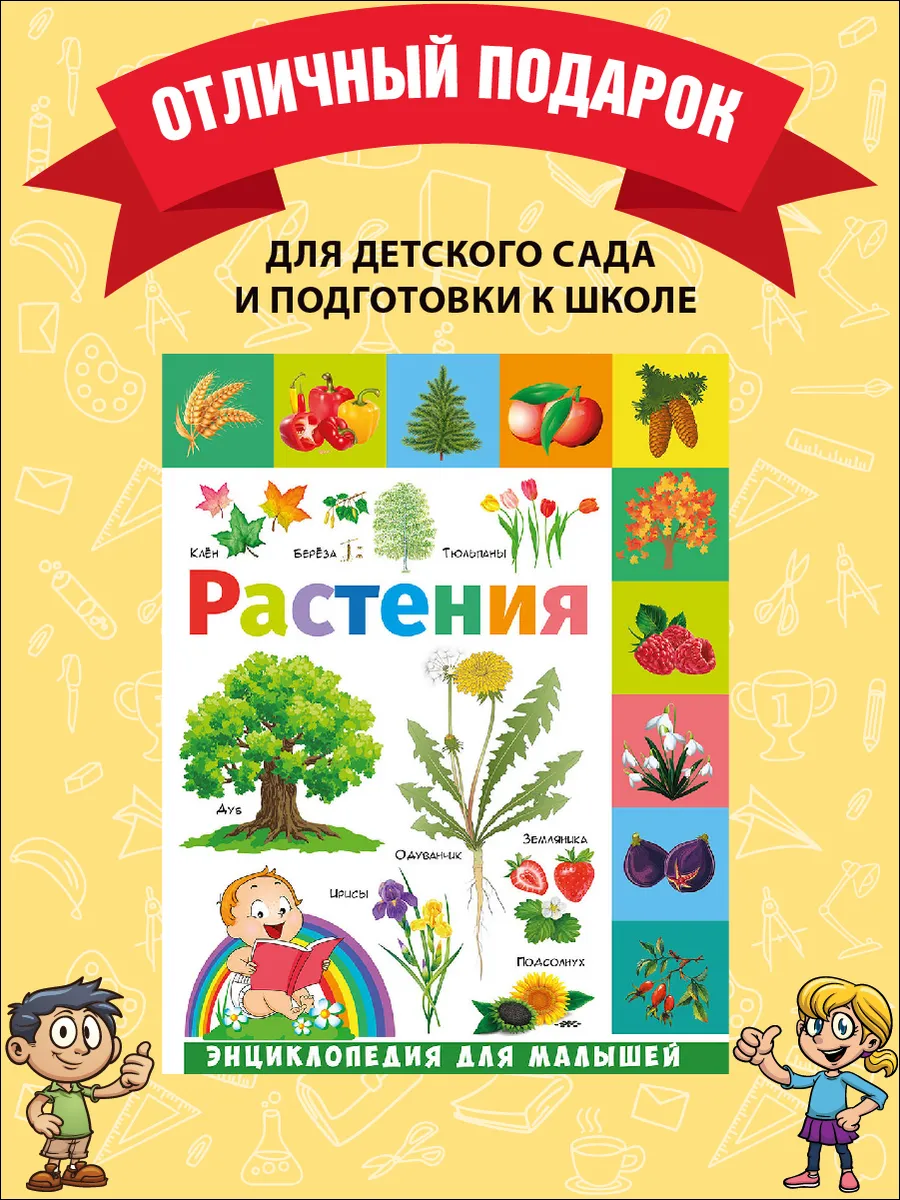 Купить мебель для детского сада - Комплектуем школы и ДОУ по ФГОС по всей России