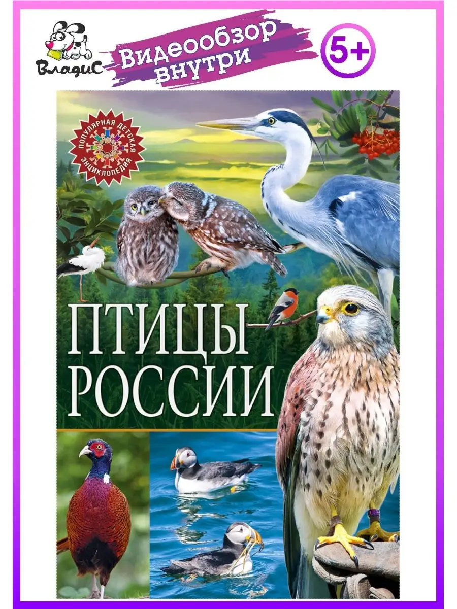 Птицы России. Детская энциклопедия Владис 10924222 купить в  интернет-магазине Wildberries