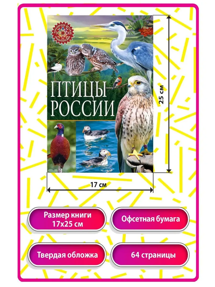 Птицы России. Детская энциклопедия Владис 10924222 купить в  интернет-магазине Wildberries