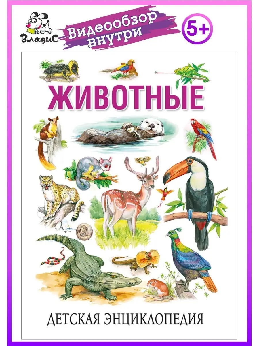 Животные. Книга о животных для детей. Книги для малышей Владис 10924228  купить в интернет-магазине Wildberries