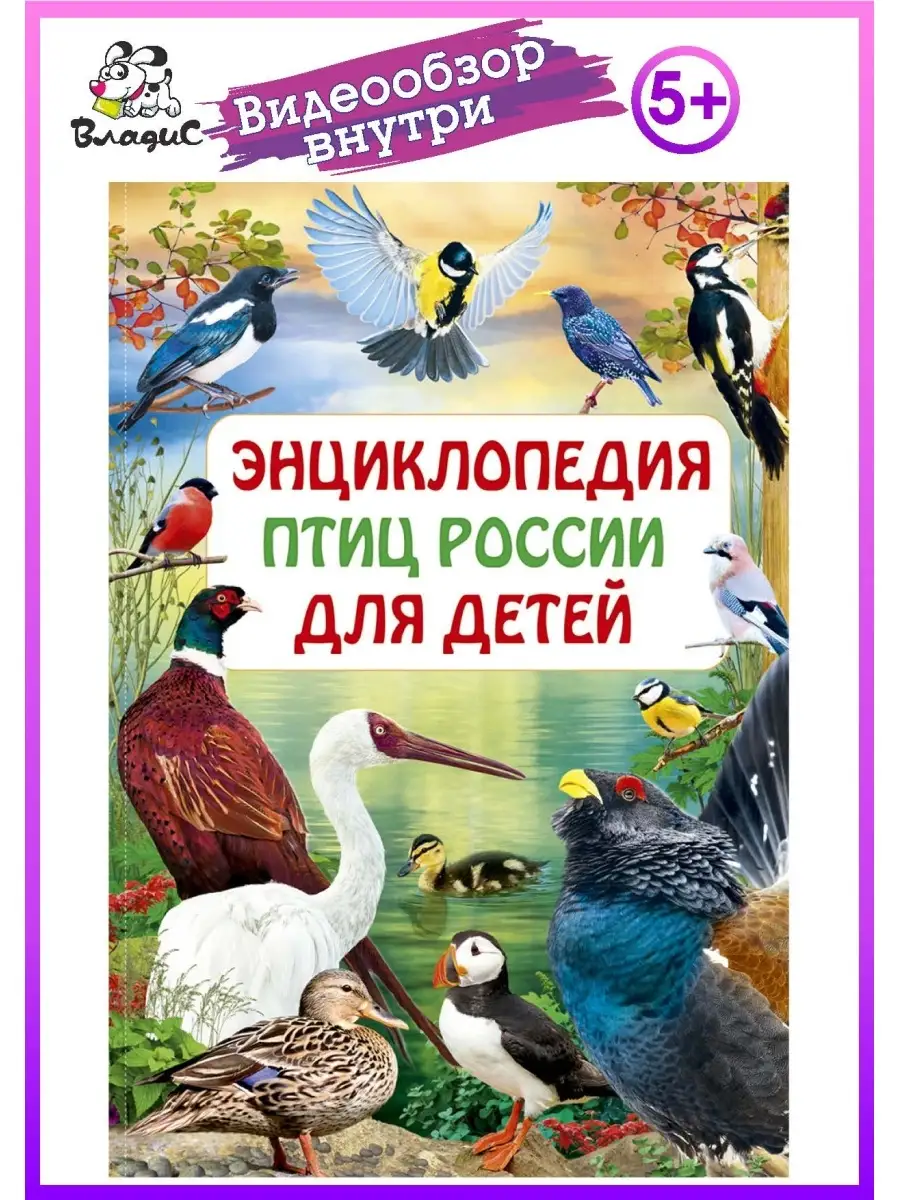 Энциклопедия птиц России для детей. Книги для малышей Владис 10924231  купить в интернет-магазине Wildberries