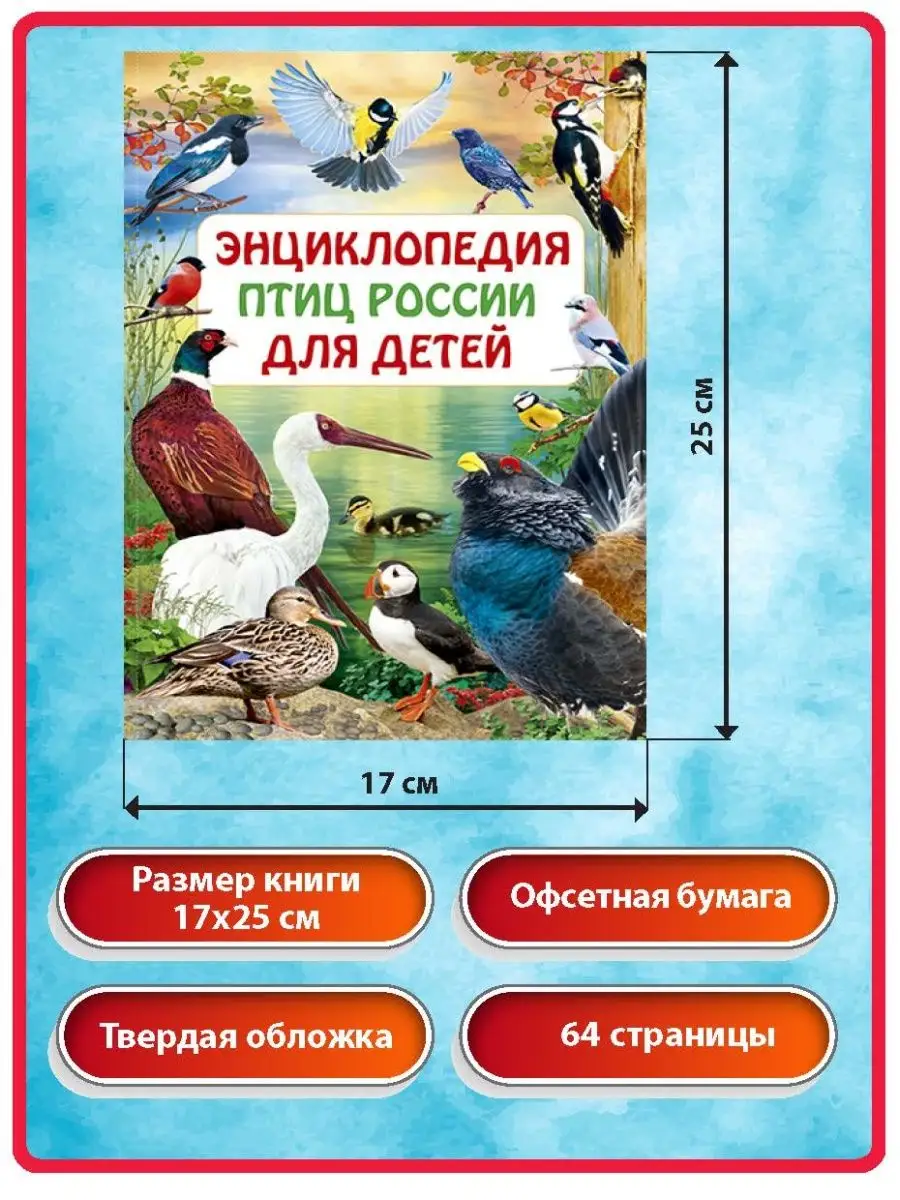 Энциклопедия птиц России для детей. Книги для малышей Владис 10924231  купить в интернет-магазине Wildberries