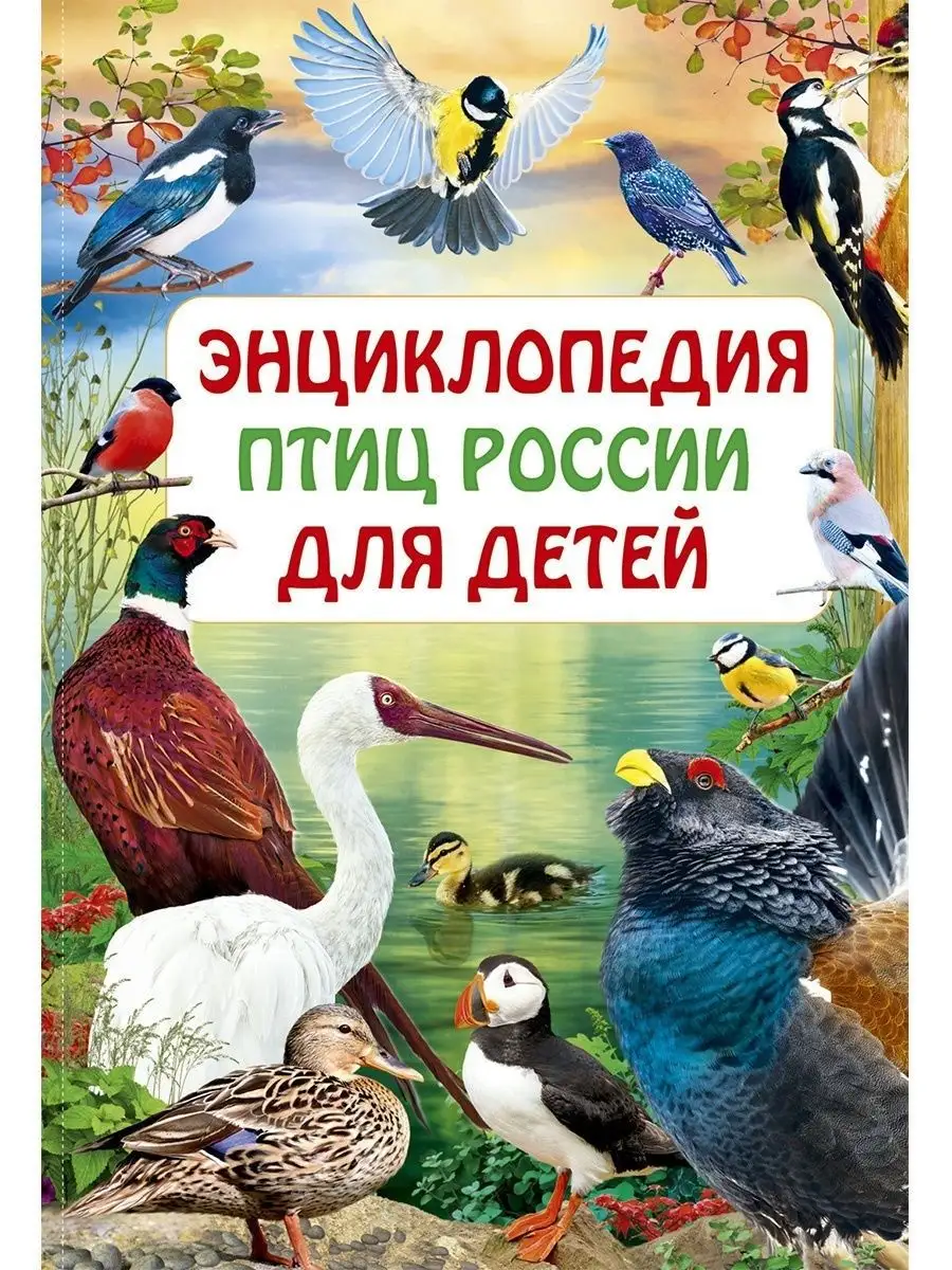 Энциклопедия птиц России для детей. Книги для малышей Владис 10924231  купить в интернет-магазине Wildberries