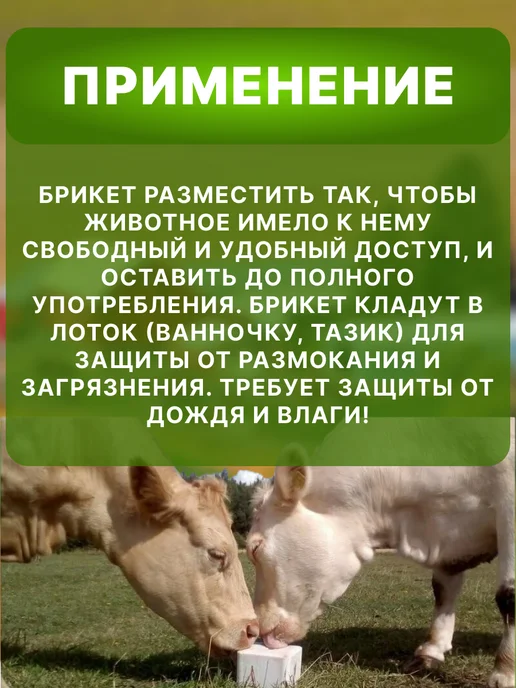 Ваше хозяйство. Кормовая добавка для животных Лизасол, брикет 3кг 279, 3 кг, фото 2