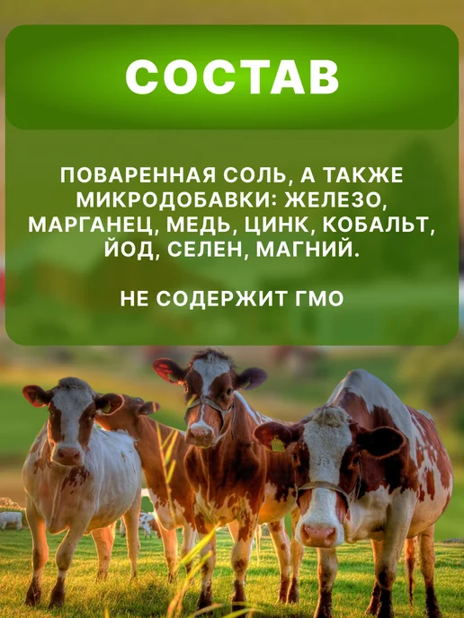 Ваше хозяйство. Кормовая добавка для животных Лизасол, брикет 3кг 279, 3 кг, фото 3