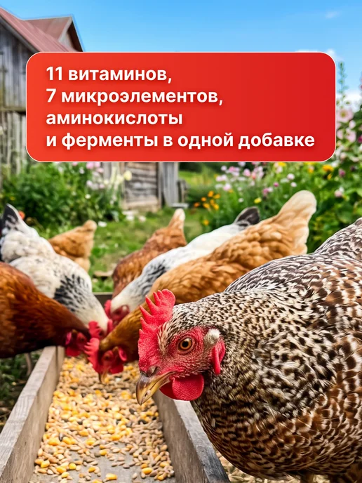 Здравур Витамины для кур для яйценоскости добавка 1,5кг 549, 1,5 кг, фото 2
