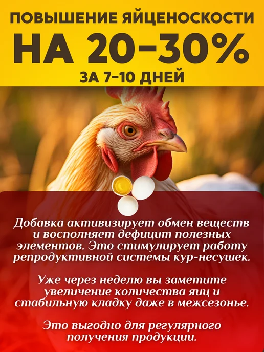Здравур Витамины для кур для яйценоскости добавка 1,5кг 549, 1,5 кг, фото 3