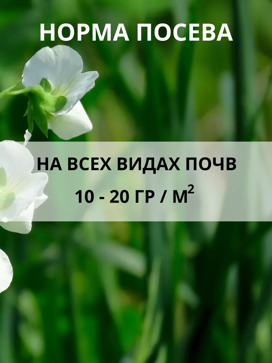 Семена сидерата Горох посевной 0,5 кг многолетний Зеленый уголок 10979154  купить за 137 ₽ в интернет-магазине Wildberries