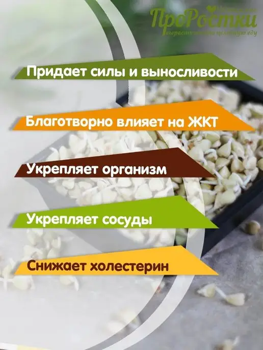 Никольские Полезности Зеленая гречка для проращивания и каш, цельное зерно, 500 г, 500 г, фото 2