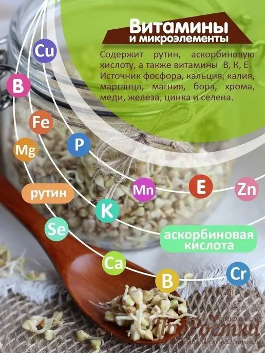 Никольские Полезности Зеленая гречка для проращивания и каш, цельное зерно, 500 г, 500 г, фото 3
