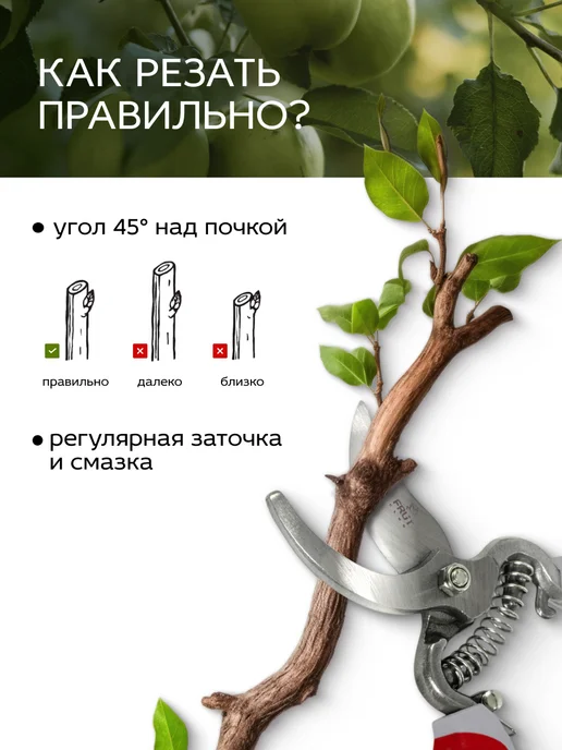 Frut club Секатор садовый ручной стальной для веток до 18 мм, серый, фото 5