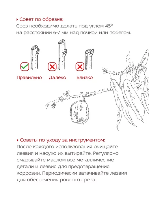 Секатор обводной профессиональный садовый для веток FRUT CLUB, черный, фото 6