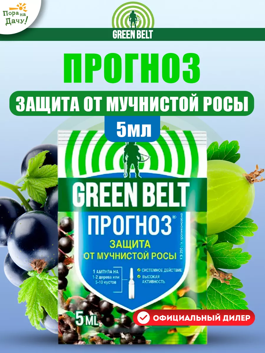 Средство от мучнистой росы Прогноз, 5мл Грин Бэлт 11063708 купить за 147 ₽  в интернет-магазине Wildberries