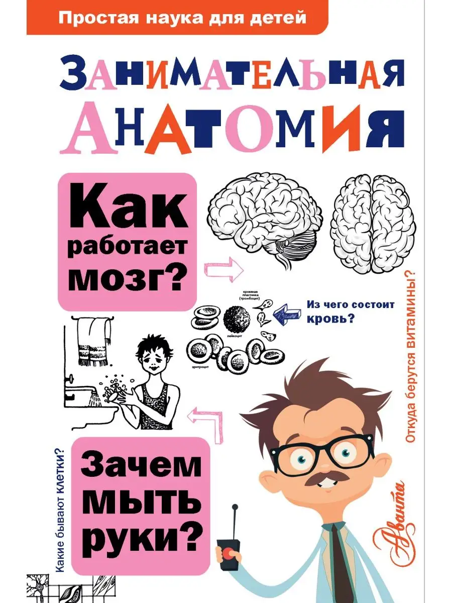 Занимательная анатомия Издательство АСТ 11075100 купить в интернет-магазине  Wildberries