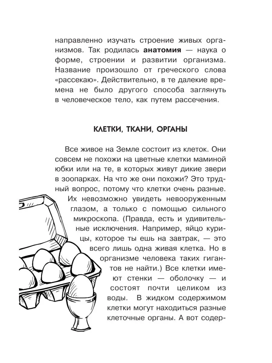 Занимательная анатомия Издательство АСТ 11075100 купить в интернет-магазине  Wildberries