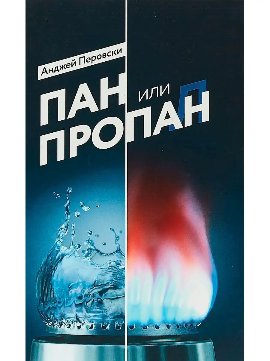 Пан или пропан. Издательство Концептуал 11080267 купить за 449 ₽ в  интернет-магазине Wildberries