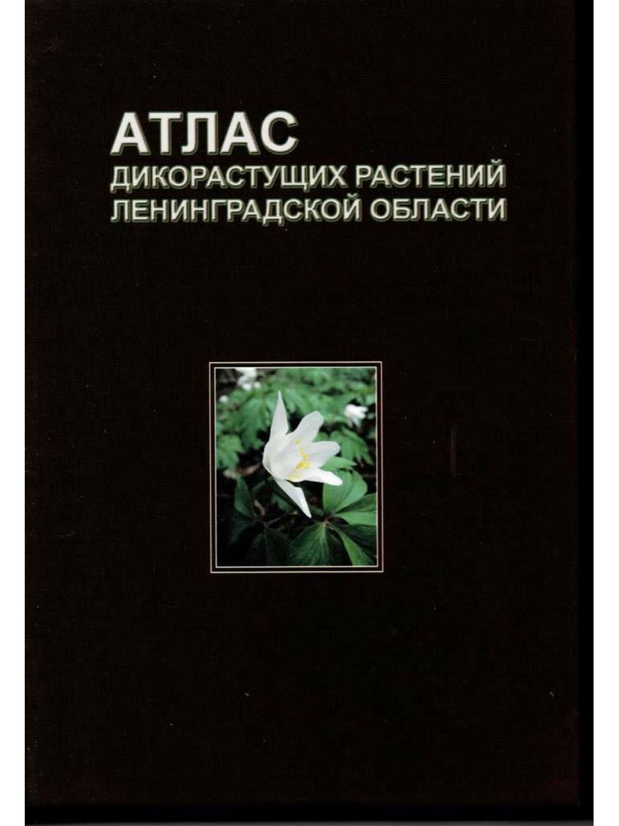 Атлас дикорастущих растений Ленинградской области Товарищество научных  изданий КМК 11113226 купить в интернет-магазине Wildberries