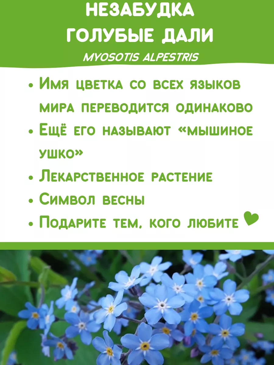 Набор для выращивания растений Вырасти сам Тролли Незабудка Happy Plants  11167535 купить за 372 ₽ в интернет-магазине Wildberries