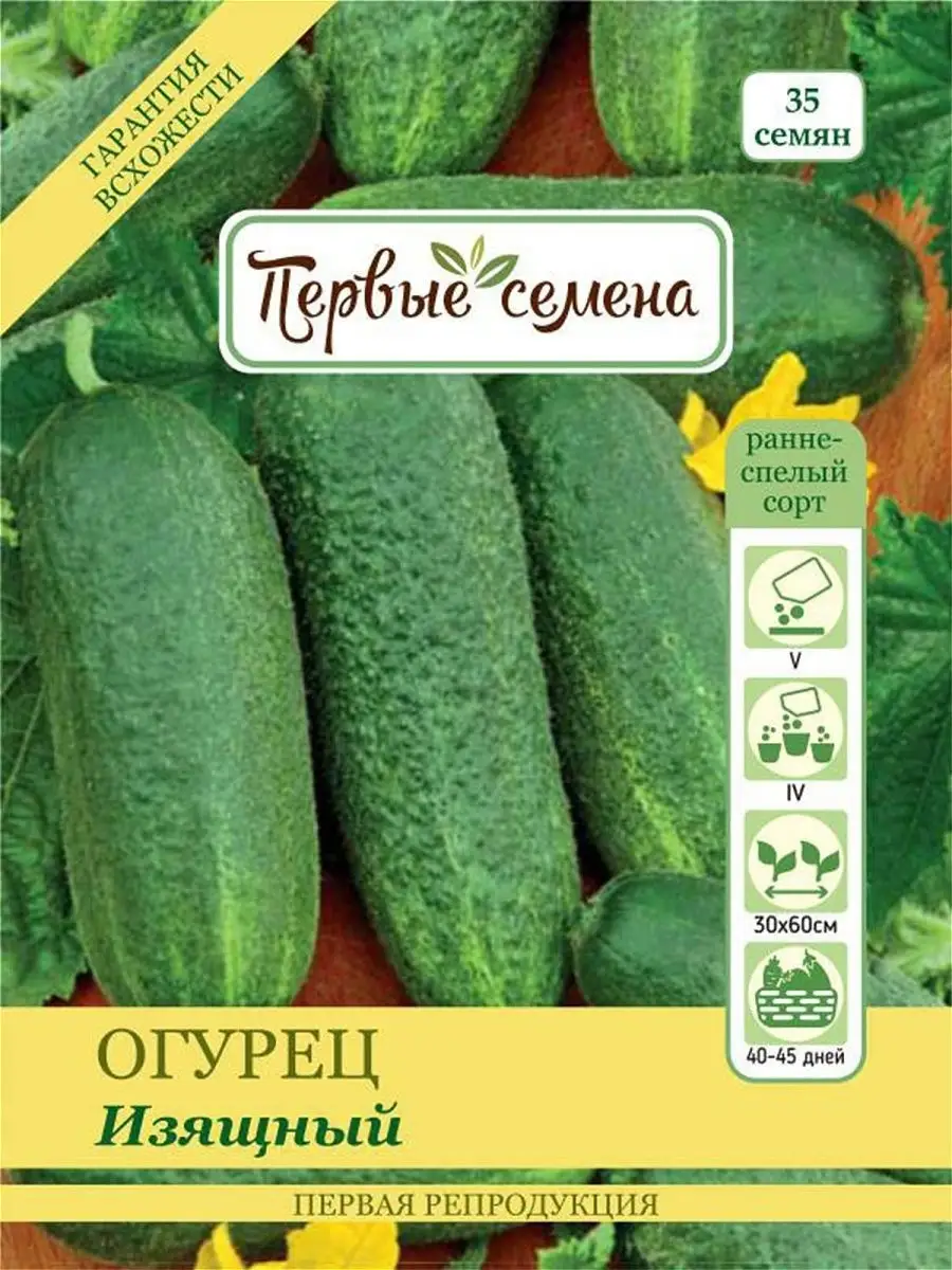 Сорт огурцов изящные. Огурцы трилоджи. Луховицкие огурцы семена. Семена огурец "изящный", 0,5 г. Семена огурцов изящный.