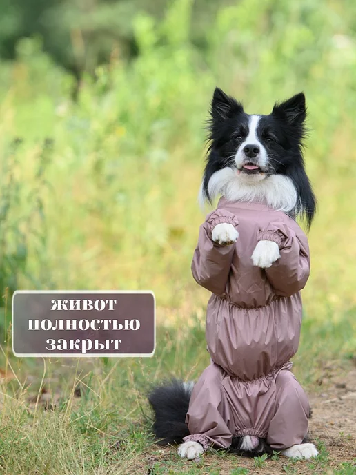 OSSO-fashion Дождевик для собак комбинезон средних и крупных пород, коричневый, фото 6