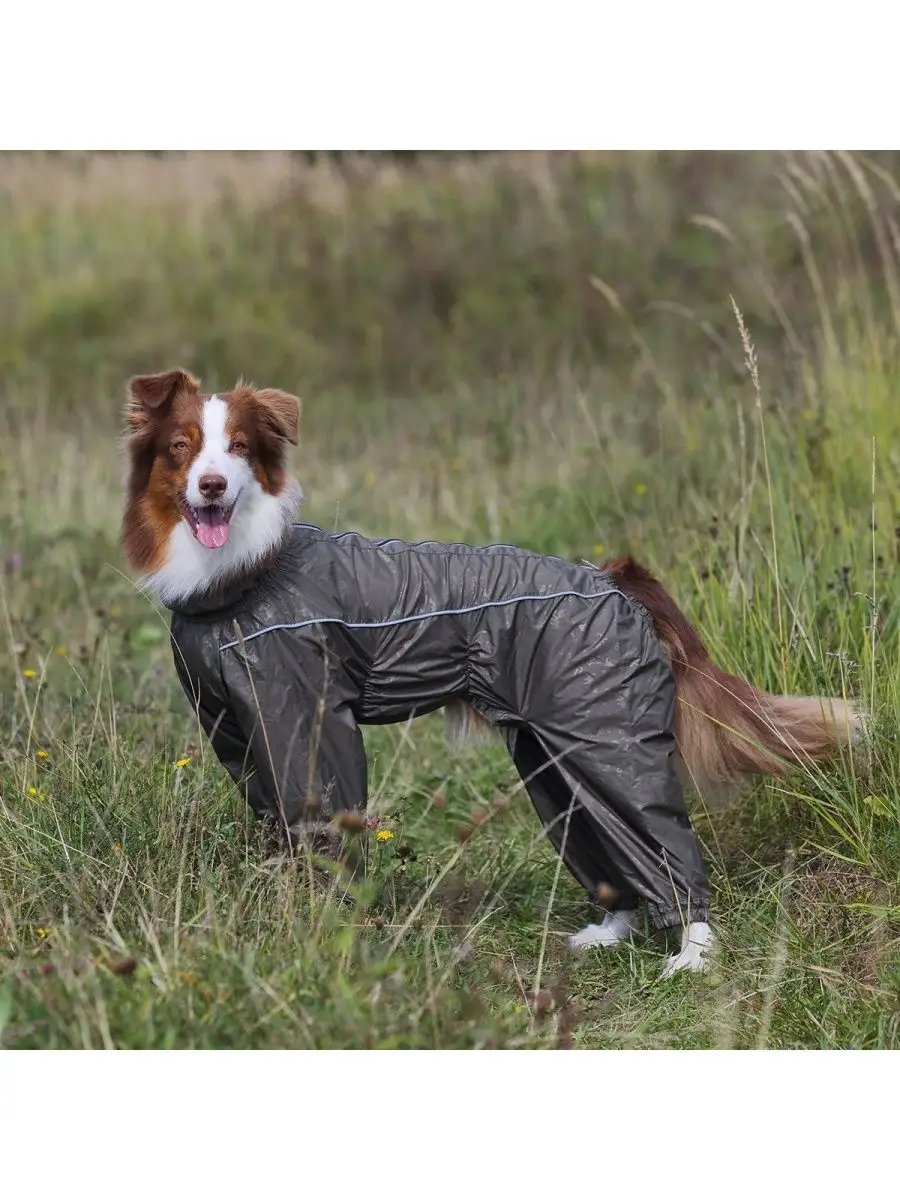 Гламурная одежда для собак - Dog Glamour. Одежда для чихуахуа в большом ассортименте.