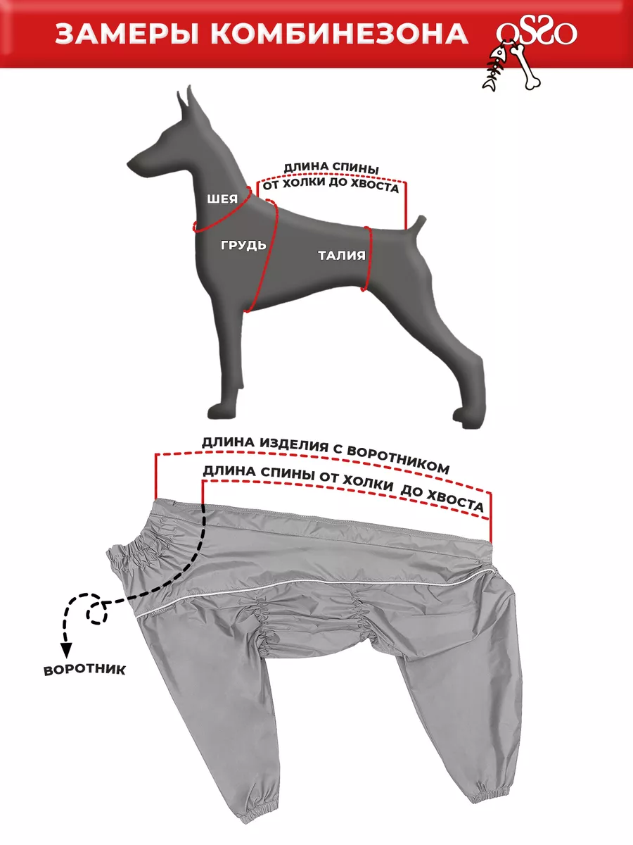 10 Best Practices For одежда для собак - Rare Organics