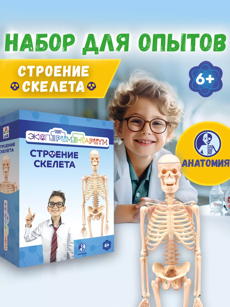 Научный набор физика для опытов эксперименты для детей 1Toy 11216059 купить  за 438 ₽ в интернет-магазине Wildberries