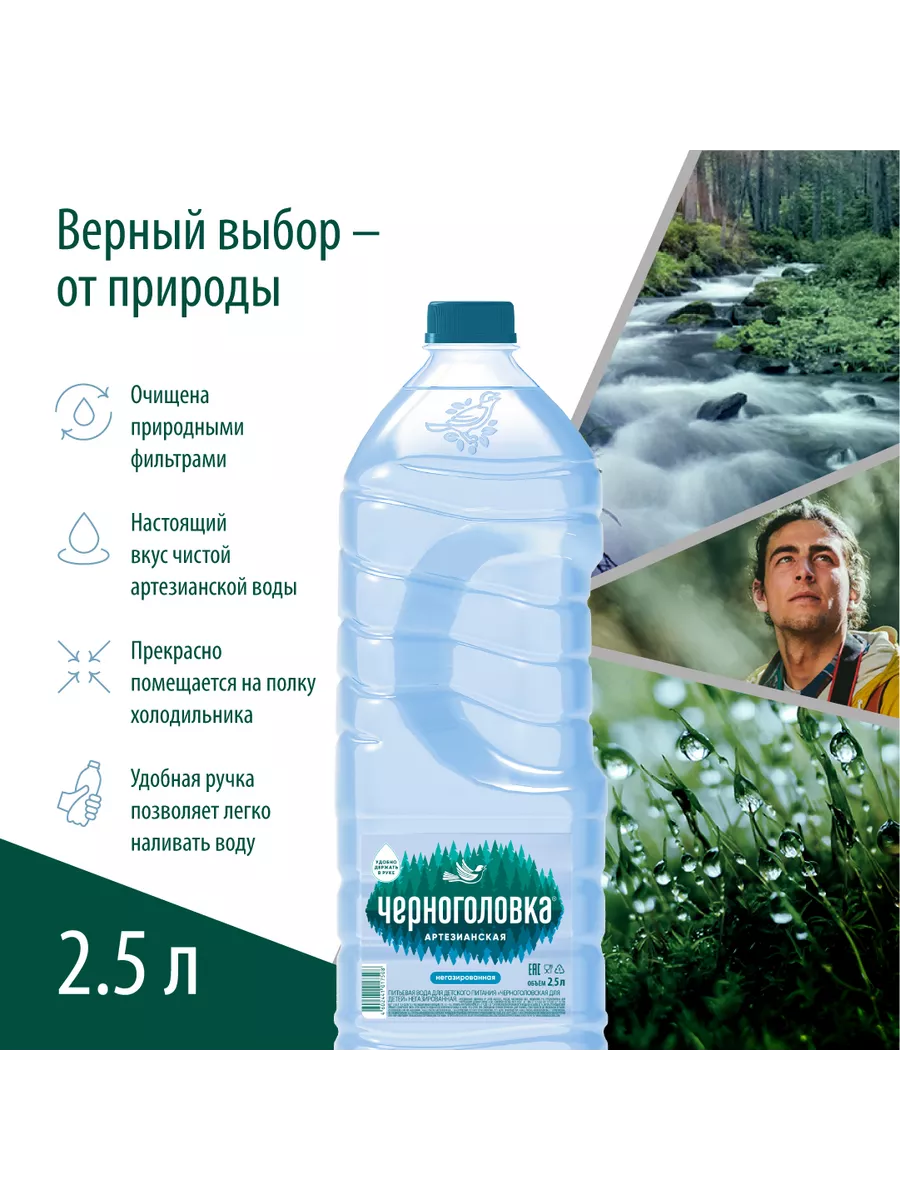 Вода артезианская негазированная, 4 шт по 2,5 л Черноголовка 11288283  купить в интернет-магазине Wildberries