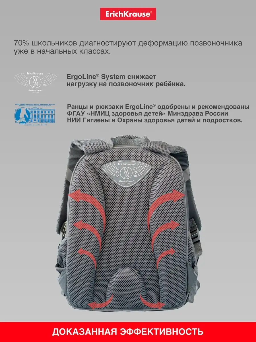 Рюкзак школьный Ergoline 15L Wild Cat ErichKrause 11290622 купить за 3 953  ₽ в интернет-магазине Wildberries