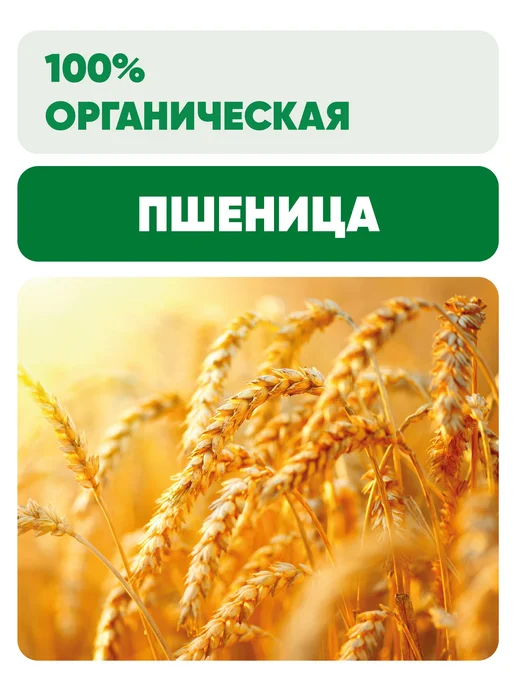 Чёрный хлеб Мука пшеничная особо тонкого помола органическая, 5 кг, 5 кг, фото 4