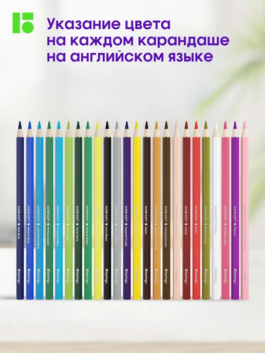 Berlingo Карандаши цветные мягкие для рисования 12 цветов, для школы, 24 цв., фото 4