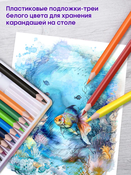 Berlingo Карандаши акварельные цветные для рисования, 12 цветов, 12 цв., фото 3