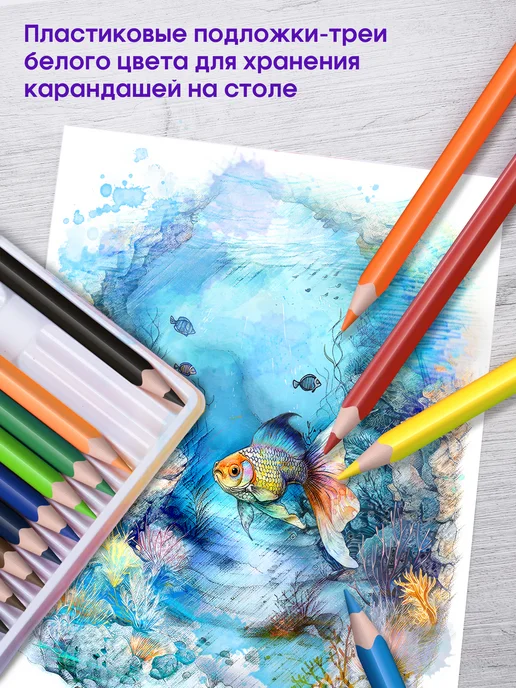 Berlingo Карандаши акварельные цветные для рисования, 12 цветов, 24 цв., фото 3