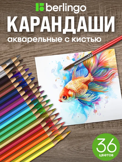 Berlingo Карандаши цветные для рисования мягкие, 36 цветов, для школы, 36 цв.
