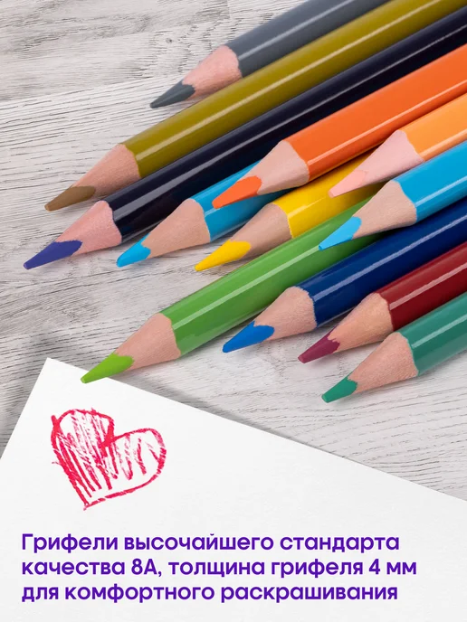 Berlingo Карандаши цветные для рисования мягкие, 36 цветов, для школы, 36 цв., фото 7