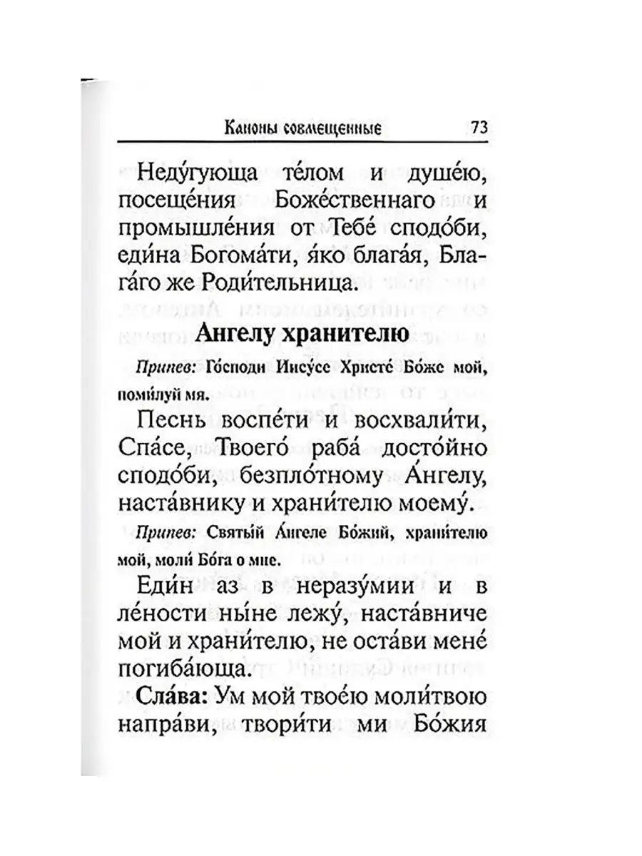 Молитвослов с совмещенными канонами и правилом ко Святому Причащению.  Крупный шрифт Благовест 11317713 купить в интернет-магазине Wildberries