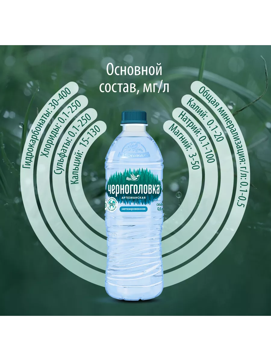 Вода артезианская негазированная, 12 шт по 0,5 л Черноголовка 11325311  купить в интернет-магазине Wildberries