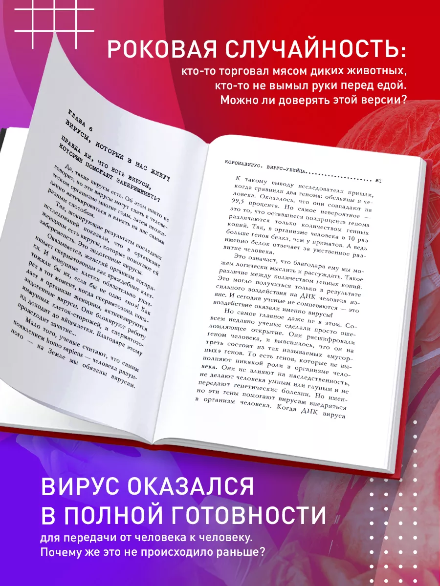 Через какое время после полового акта сперматозоид достигает яйцеклетки?