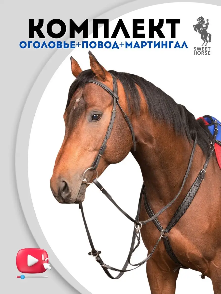 Сет - оголовье + повод + мартингал для лошадей Sweethorse 11463037 купить  за 9 105 ₽ в интернет-магазине Wildberries